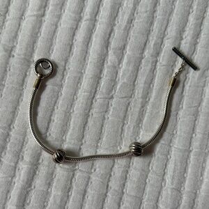 Pandora Charm Bracelet